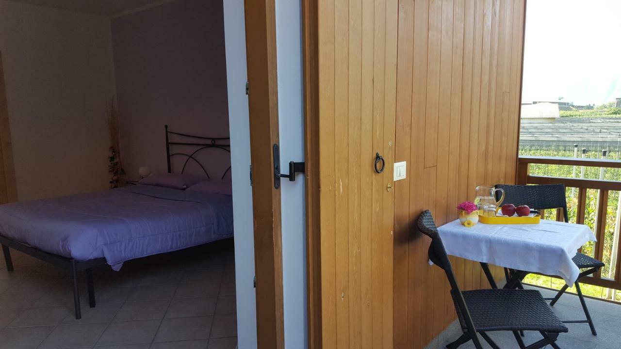 Agritur Clementi Farm stay *