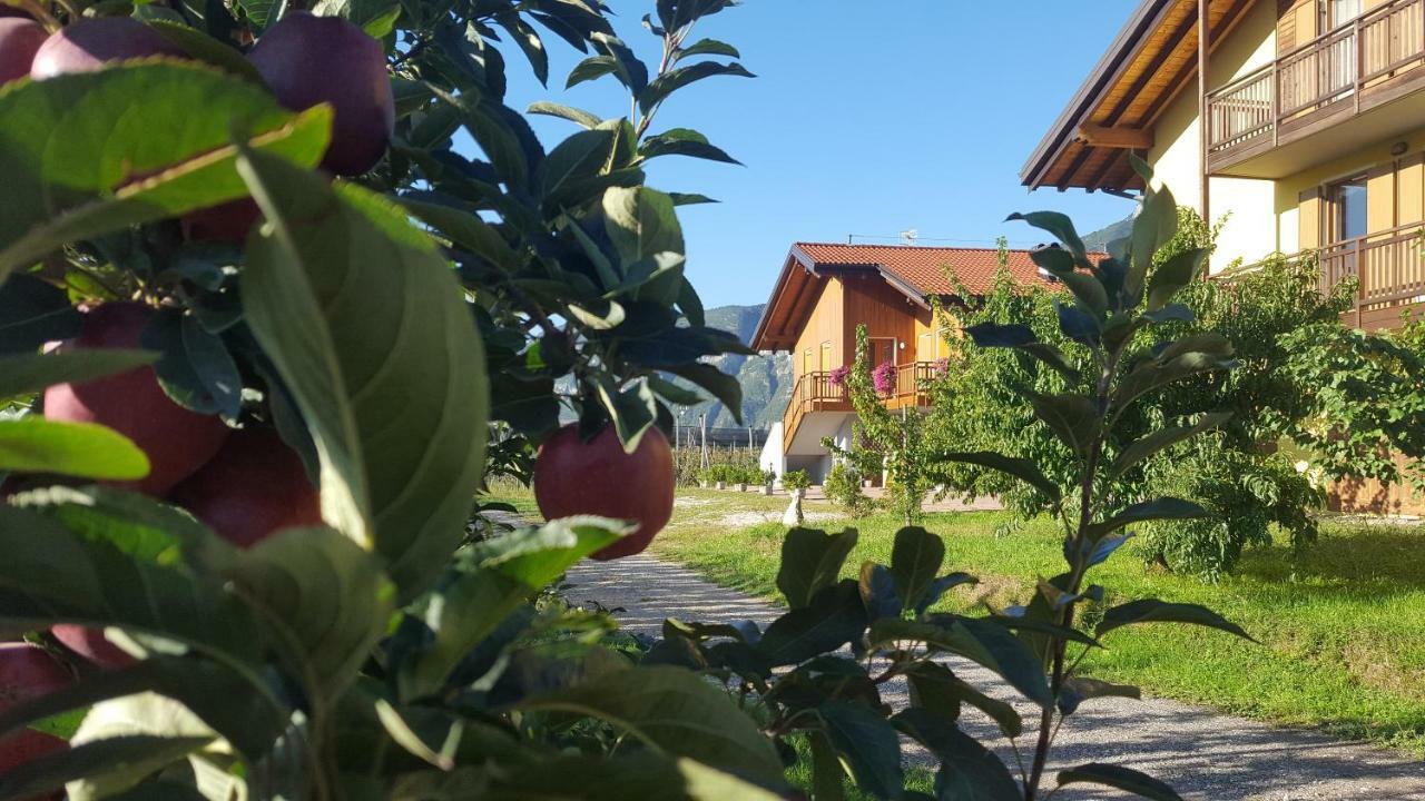 Agritur Clementi *