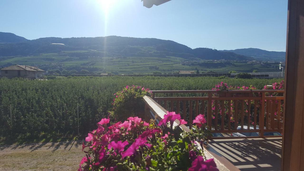 Agritur Clementi *
