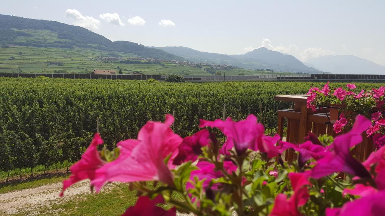 Agritur Clementi *